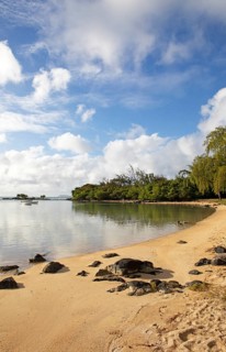 Golden sandy beach on the Indian Ocean near Calodyne, with Gunner's Coin Island in the background,