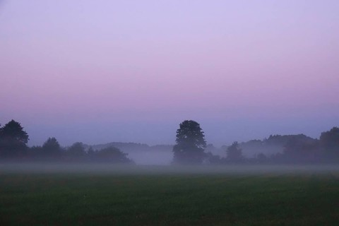 Landscape with morning fog, Summer, Saxony, Germany
