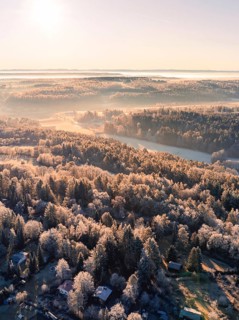 The morning mist lies over a snow-covered river valley with extensive forests, Gechingen, hedges