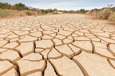 Dry earth in Israel, Middle East, water shortage, drought, Israel