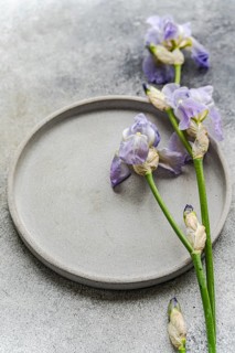 Top view of delicate purple iris flowers arranged on a grey textured surface, featuring a concrete