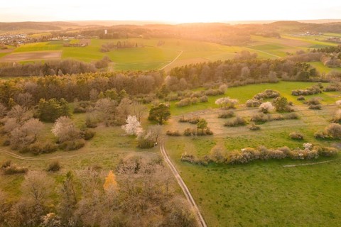 Wide landscape with meadows and forests in evening sunshine, e-bike tour, old sports field in