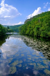 An der Thaya, river, Hardegg, Thaya valley, Thaya valley, border river, Weinviertel, Lower Austria,