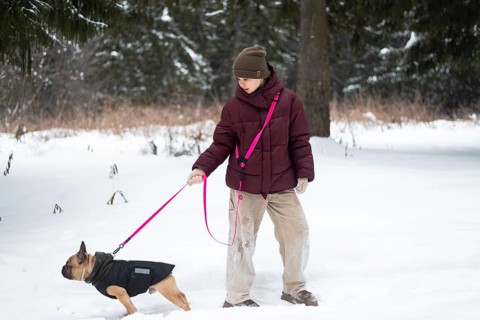 Girl walks a dog on a pink leash in a snowy forest, dressed warmly in a maroon jacket and hat. The