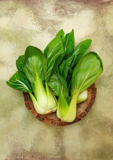 Fresh bok choy, close-up, in a wooden bowl, top view, no people