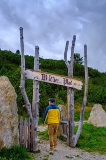 Wildlife trail, Zirmstadl, Zillertaler Höhenstraße, Zillertal, Tyrol, Austria