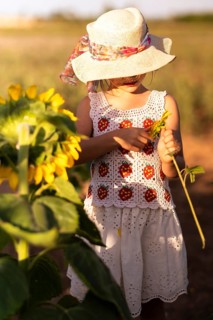 A young girl in a sun hat and a summer dress admires sunflowers in a field. Warm sunlight casts a