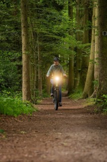 Person riding a bicycle in the forest with the lights switched on. The surrounding area is densely