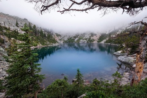 A serene view of a crystal-clear alpine lake nestled in Colorado, ensconced by dense greenery and