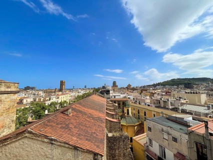 View of the old town and the El Raval neighbourhood in Barcelona, Spain