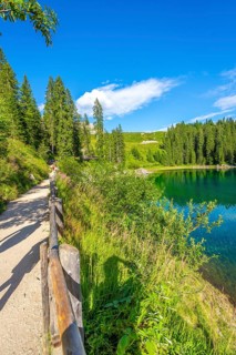 Tourists walking on gravel path along shore of lake carezza, surrounded by lush green vegetation