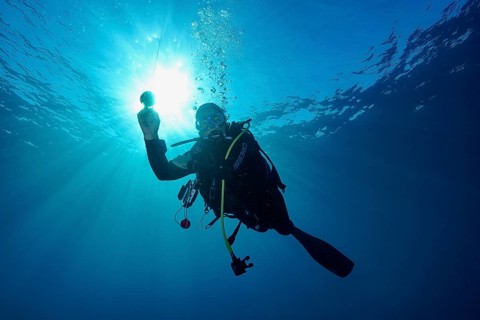 A female diver in full gear floats underwater while sunbeams shine through the water during a
