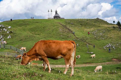 A lively scene on a mountain ridge where several hikers follow a trail past a traditional wooden