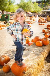 Little Boy Standing in a Rustic Ranch Setting at the Pumpkin Patch