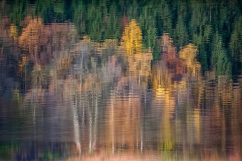 Reflections on a water surface in September