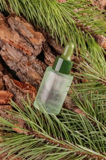 Dropper bottle of essential coniferous oil nestled among vibrant pine needles and rustic tree bark