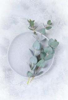Eucalyptus branch on a grey plate, postcard, top view, no people