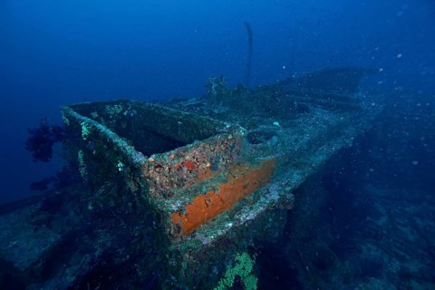 The remains of an old ship, slowly taken over by corals and plants, rest quietly on the seabed,