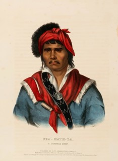 Nea-Math-La, A Seminole Chief (1826), Native American, Historical Native American tribes from North