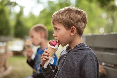 Two young boys eats ice cream in the park