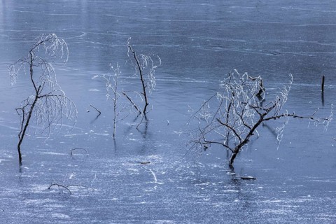 Frozen Schlachtensee, Zehlendorf, Berlin, Germany