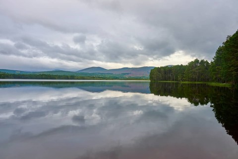Calm lake with cloud reflection and mountains in the background, surrounded by trees, Loch Garden,