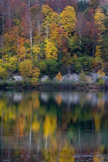 Lake Almsee in autumn with a forest reflected in the lake