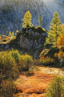 Autumn-coloured vegetation in the Valais Alps, Canton Valais, Switzerland