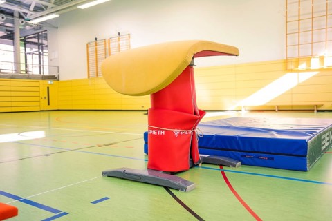A horse jumping device in a gym with yellow walls and light coming from windows, Gymnastics, Calw,