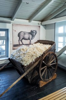 Bramsche, Lower Saxony, Germany, wool, sheep's wool, close-up of a pile of wool with a picture of a