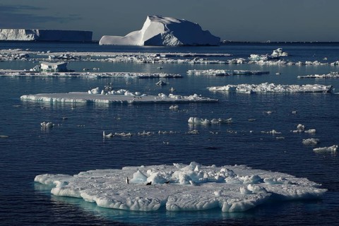 Drift ice in the Wedell Sea, Antarctica