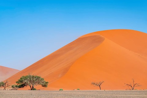 Dune 45, dune, sand dune, Sossusvlei, Namib Desert, Namib-Naukluft National Park, Namibia