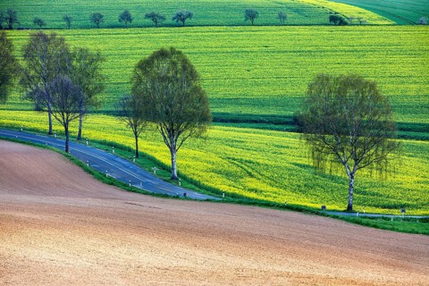 Landscape near Uslar, district of Northeim, Weser Uplands, southern Lower Saxony, Germany