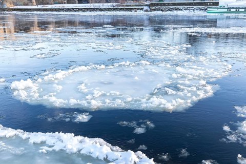 Drift ice and frozen ice rinks on the banks of the Elbe, Dresden, Saxony, Germany
