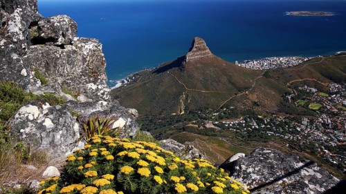 South Africa, Africa, Cape Town, view from Table Mountain