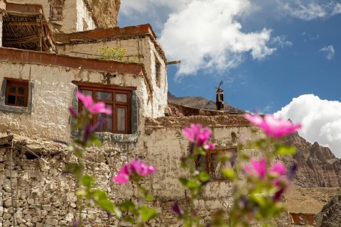 A stunning view of Phugtal Monastery surrounded by vibrant flowers, located in the remote Lungnak