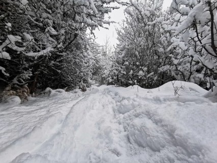 Snowy trail through a dense forest area, Franconian Forest nature park Park