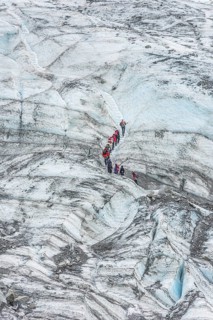 Group of walkers on glacier, Fox Glacier, Westland National Park, South Island, New Zealand