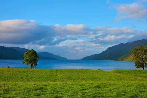 Tranquil lake surrounded by lush green meadow and trees with surrounding mountains under clear