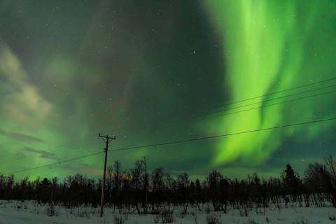 Unrecognizable night-time display of Aurora Borealis stretching across the sky above a snowy