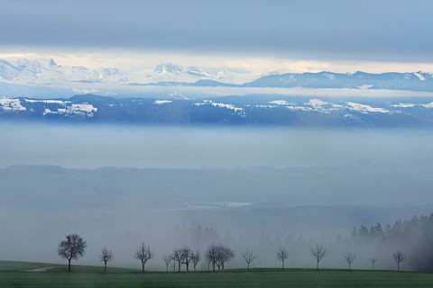 Landscape covered in fog, snow-covered Alps behind, Beinwil, Freiamt, Horben, Lindenberg, Aargau
