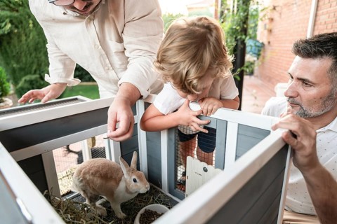 A gay couple lovingly cares for their young son as they feed a rabbit in their garden. The scene
