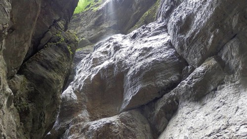 Light falls through a narrow gorge with a wet, moss-covered rock face, Partnachklamm,