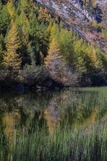 Little pond of the Malta river with a mountain forest in fall foliage on a bright sunny morning.