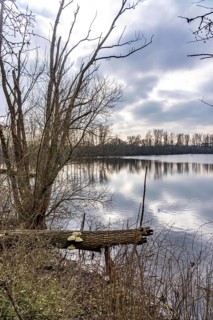 The Bislicher Insel, nature reserve on the Rhine, Altrheinarm, near Xanten, Lower Rhine, Wesel