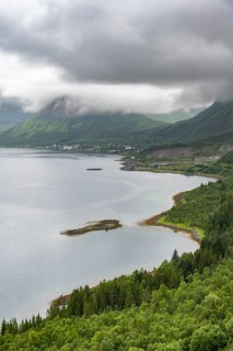 Cloudy fjord landscape with forest, Senja Island, Norway