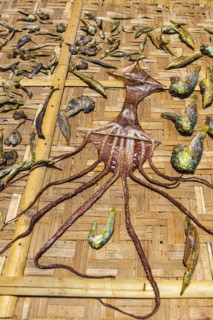 Fish to dry in the sun, squid, octopus, traditional, tradition, Asian, food, nutrition, seafood,