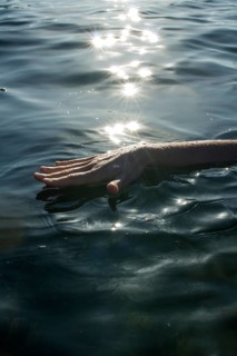 A hand gently touches the surface of a tranquil water body, creating ripples. Sunlight sparkles on