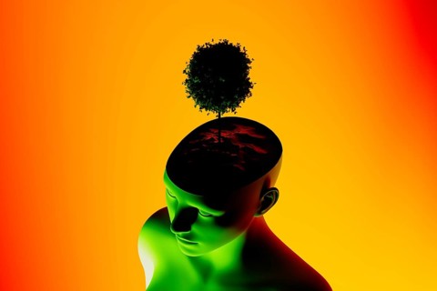 A silhouette of a human head features a vibrant tree emerging from the top, symbolizing thought,