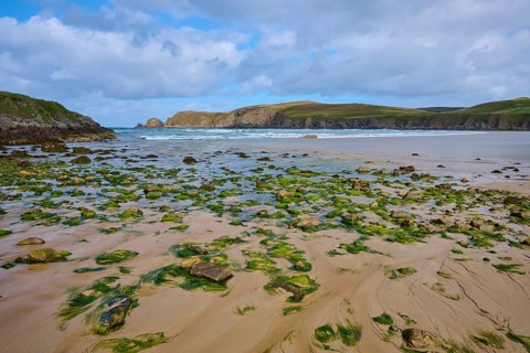 Algae and rocks dot the sandy beach overlooking the sea, Farr Bay, Bettyhill, Thurso, Scotland,